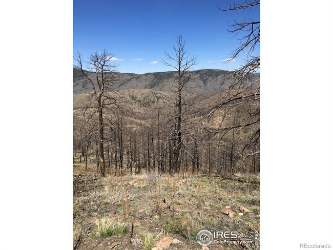 3600 Moondance Way, Home with 0 bedrooms, 0 bathrooms and null parking in Bellvue CO | Image 18