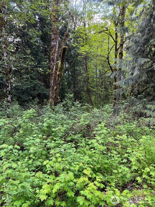 13420 74th St Ne, Lake Stevens, WA, 98258-9387 | Card Image