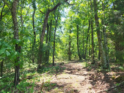 9 Coxburg Rd N, Holladay, TN, 38341 | Card Image