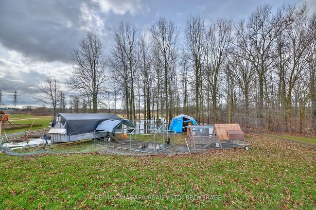 637 Carl Rd, House other with 5 bedrooms, 4 bathrooms and 20 parking in Port Robinson ON | Image 36
