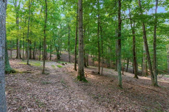 58501 Us Highway 50, Home with 0 bedrooms, 0 bathrooms and null parking in Mc Arthur OH | Image 56