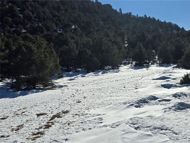 824 Shoshone Dr, Home with 0 bedrooms, 0 bathrooms and null parking in Canon City CO | Image 8