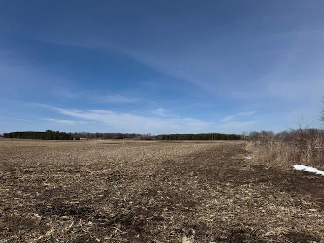 0000 County Road 61, Home with 0 bedrooms, 0 bathrooms and null parking in Browerville MN | Image 26