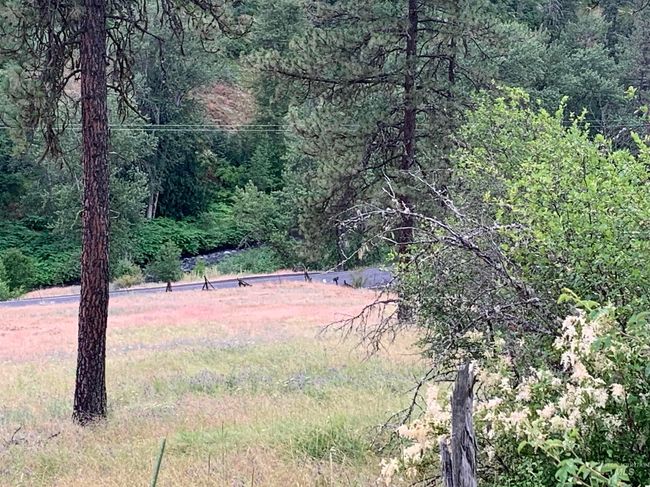 624 Clearcreek Rd, House other with 4 bedrooms, 2 bathrooms and null parking in Kooskia ID | Image 40