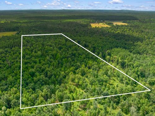 30 Acres W 48 1/2 Road, South Branch Township, MI, 49689 | Card Image