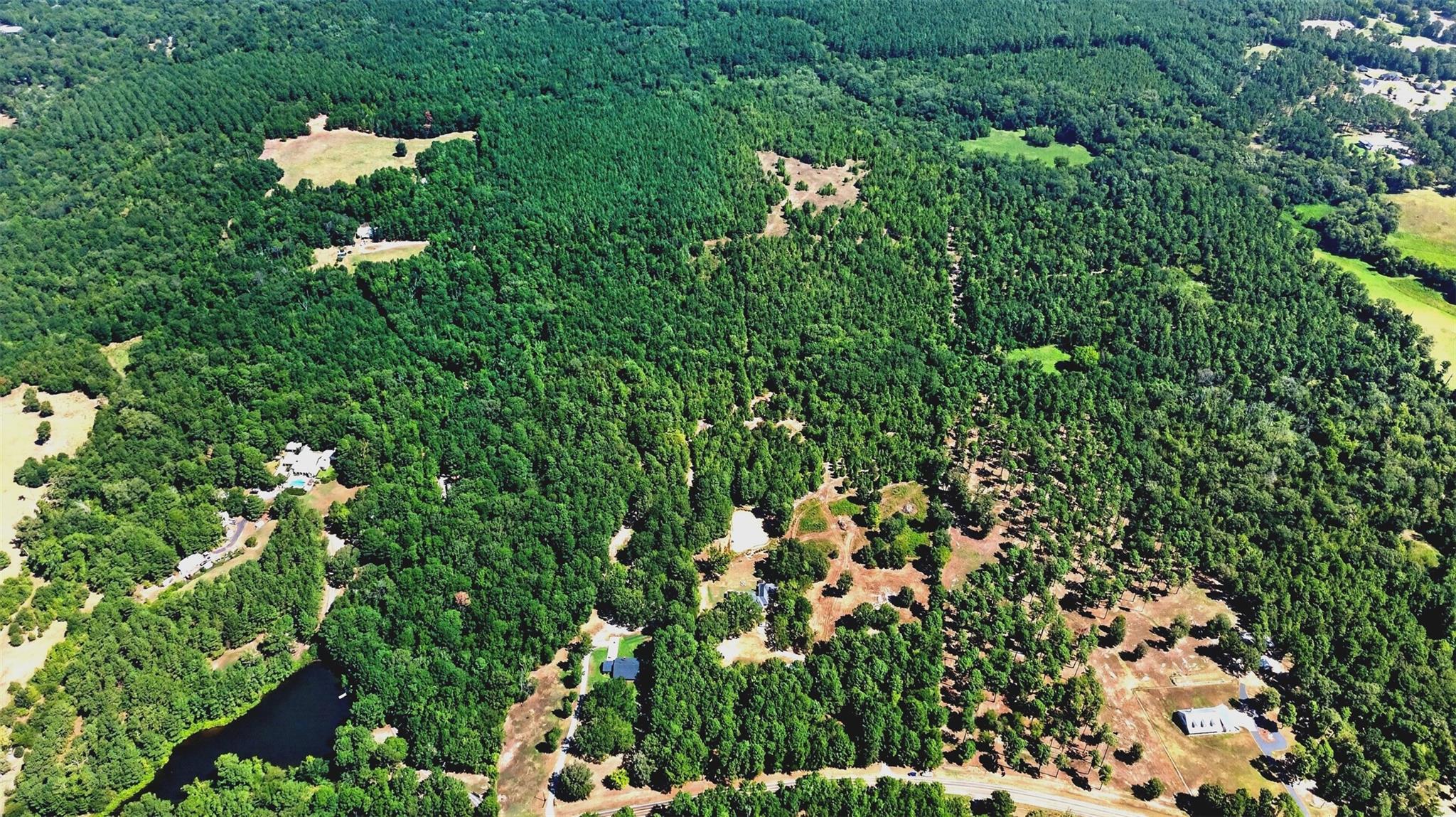 Land in Gilmer 2