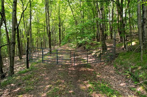 0 Red Kill Rd, Fleischmanns, NY, 12430 | Card Image