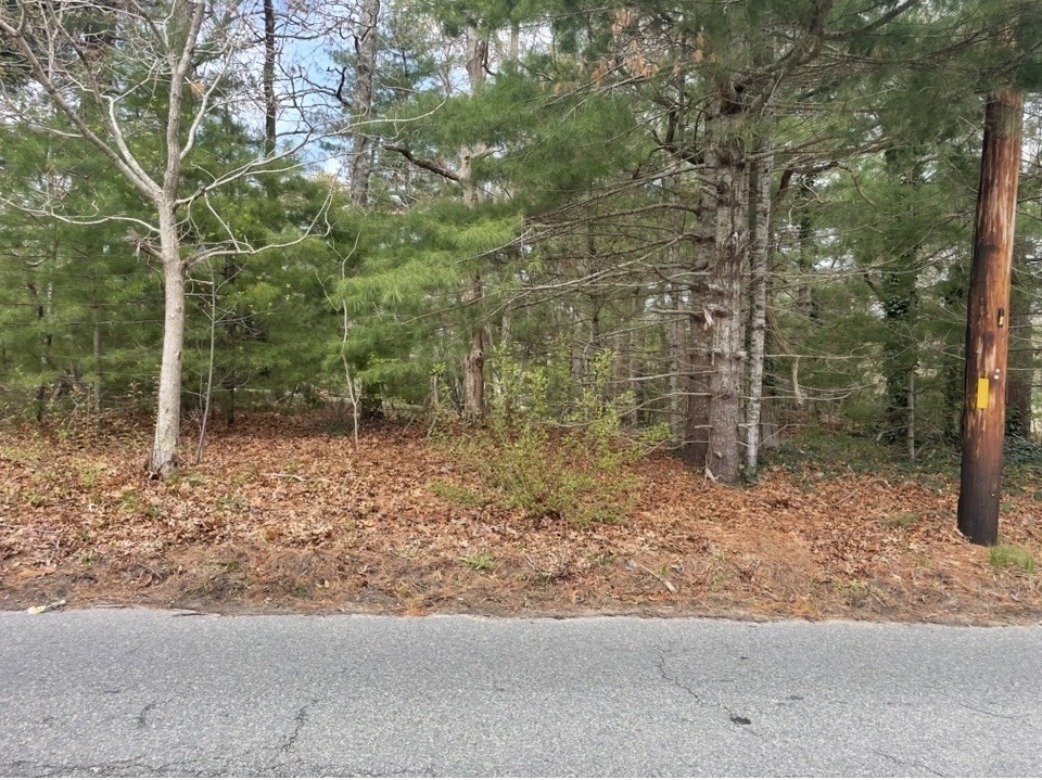Land in Wareham 2
