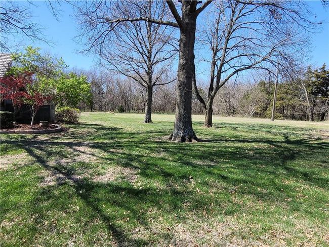 View of yard | Image 65