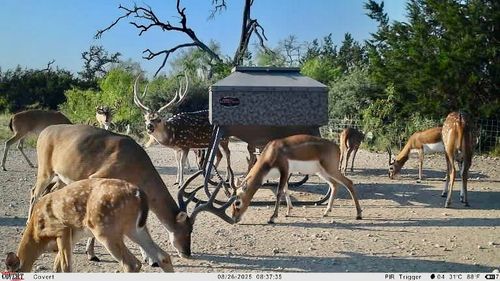 267 County Road 112, Goldthwaite, TX, 76844-3702 | Card Image