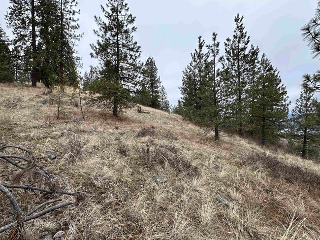 3312X Daisy Mine Rd, Home with 0 bedrooms, 0 bathrooms and null parking in Rice WA | Image 17