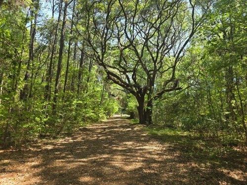 lot-b-0 Bears Bluff Rd, Wadmalaw Island, SC, 29487 | Card Image