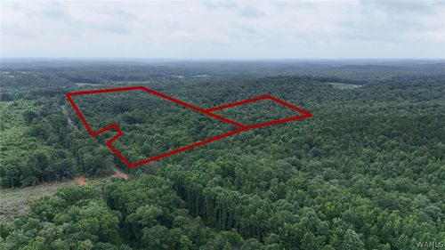 0 County Rd. 68, Berry, AL, 35546 | Card Image