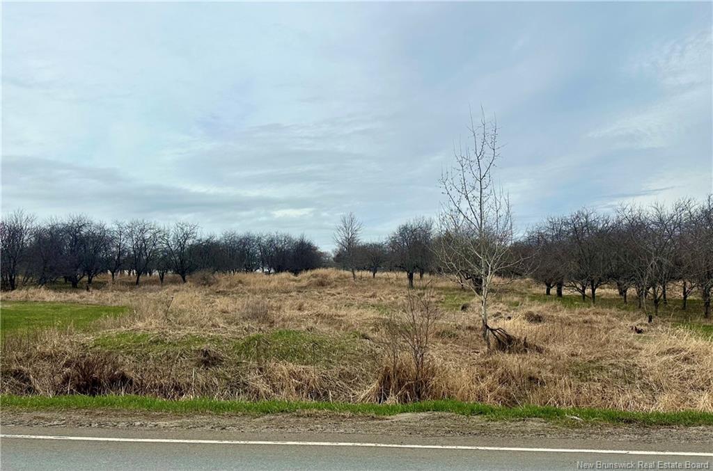 Land in Keswick Ridge 5