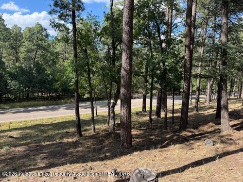 4-Lot 62 Fort Stanton Rd., Alto, NM, 88312 | Card Image