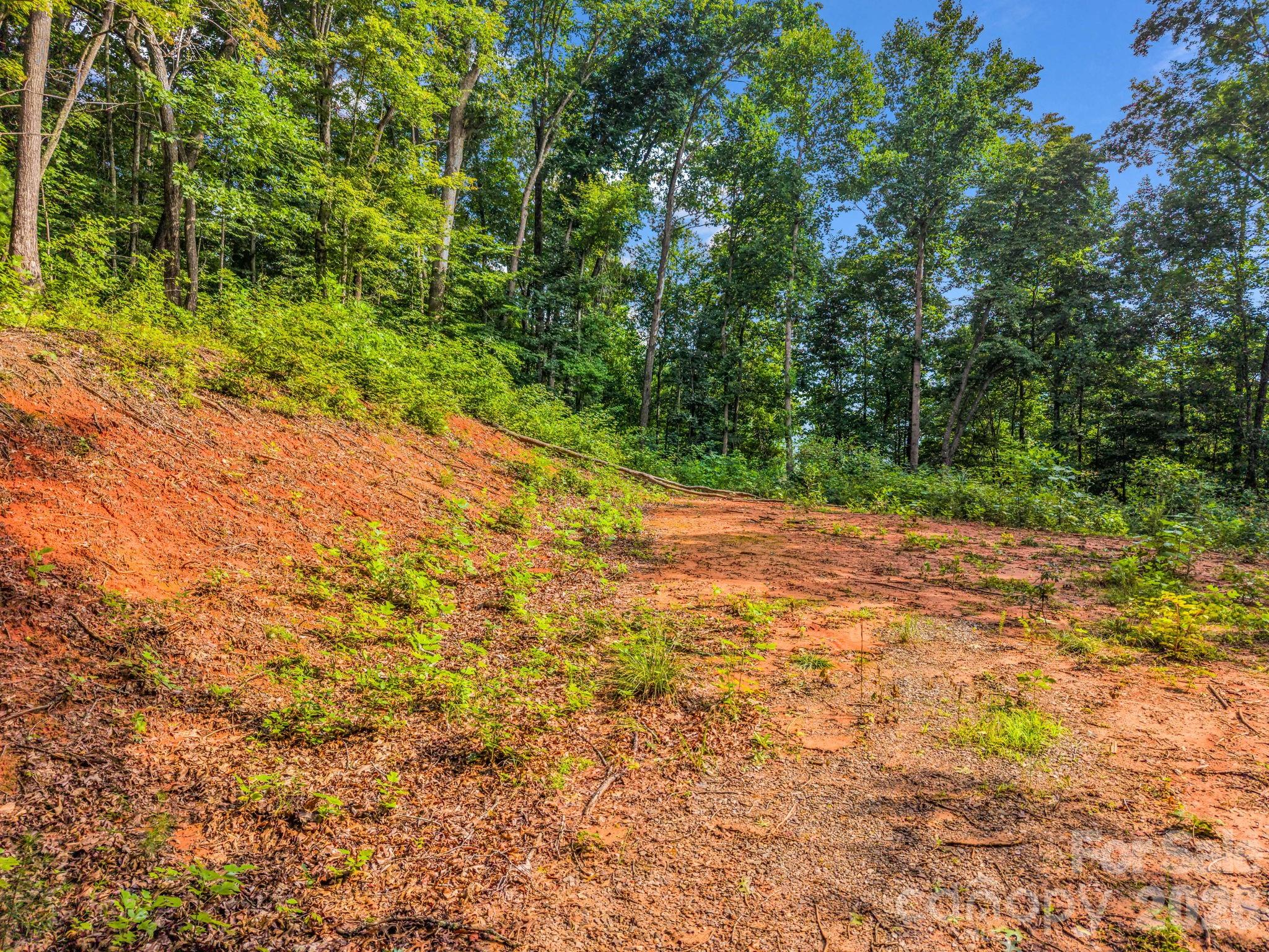 Land in Swannanoa 5