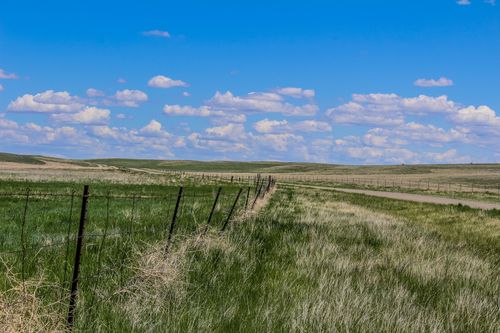 8 Old Ulm Cascade Rd, Cascade, MT, 59421-8341 | Card Image