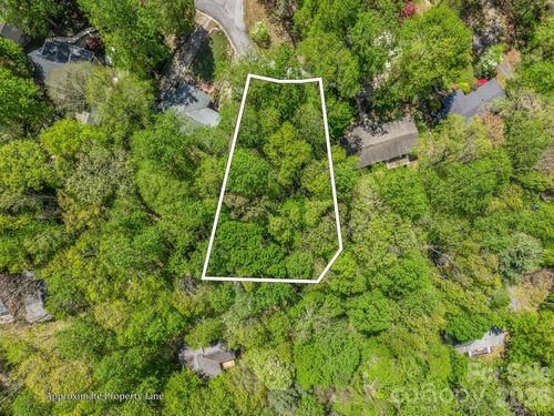 99999 Mountain Site Lane, Asheville, NC, 28803 | Card Image