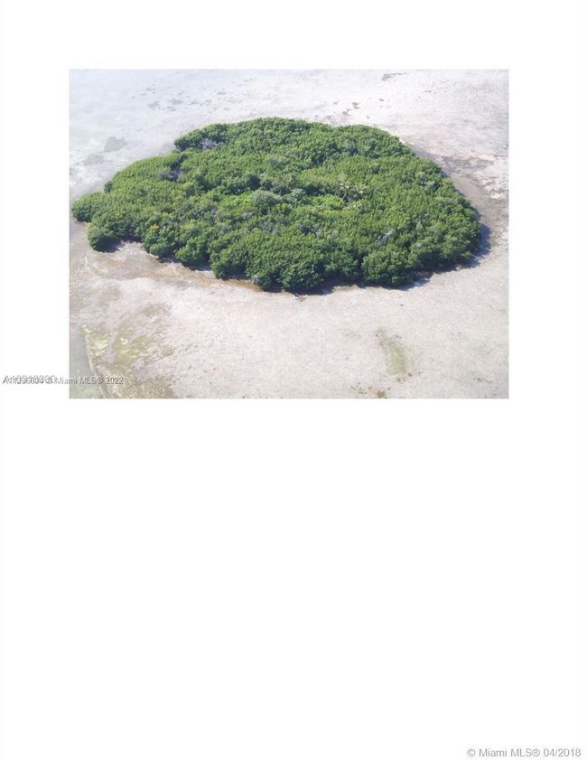 99 Pine Ave, Home with 0 bedrooms, 0 bathrooms and null parking in Big Pine Key FL | Image 7