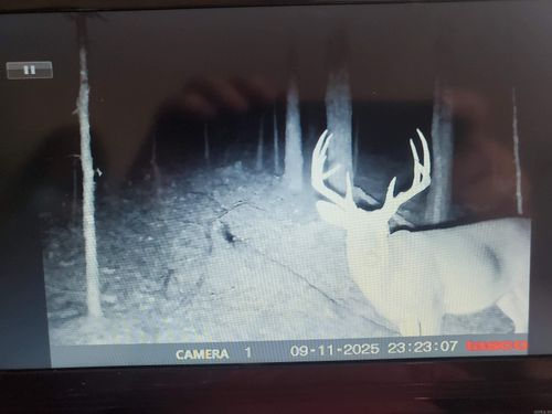 TBD Polk Road 62, Mena, AR, 71953 | Card Image