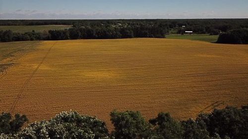 Lot 1 Block 1 87th Street Se, Becker, MN, 55308 | Card Image