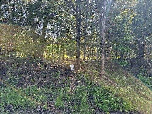 Tract 18 County Road 2960, Honey Grove, TX, 75446 | Card Image