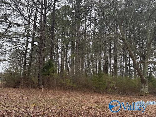 LOT 1 South St E, Athens, AL, 35611 | Card Image