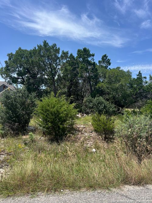 203 Granite Rd, Spring Branch, TX, 78070 | Card Image