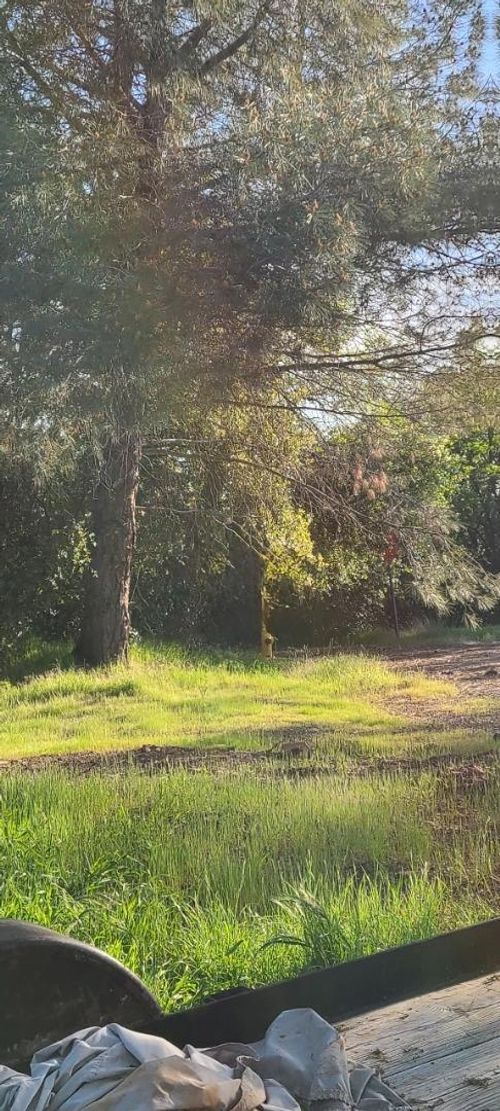 10470 Chicharra Ct, Coulterville, CA, 95311 | Card Image