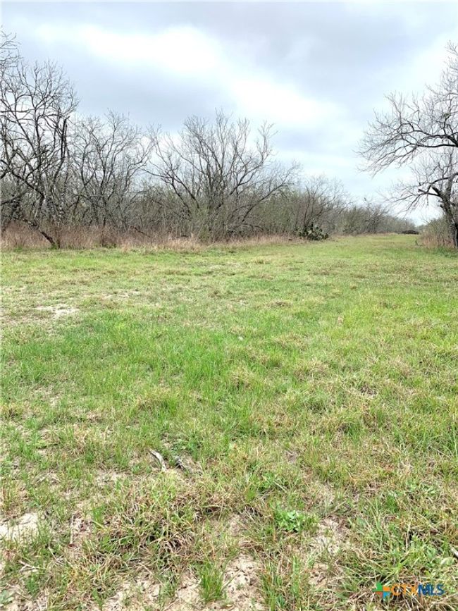 000 Pierce Rd, Home with 0 bedrooms, 0 bathrooms and null parking in Goliad TX | Image 11