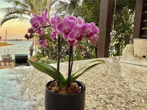 5265 Sw 171st Ave, Miramar, FL, 33027-4934 | Card Image