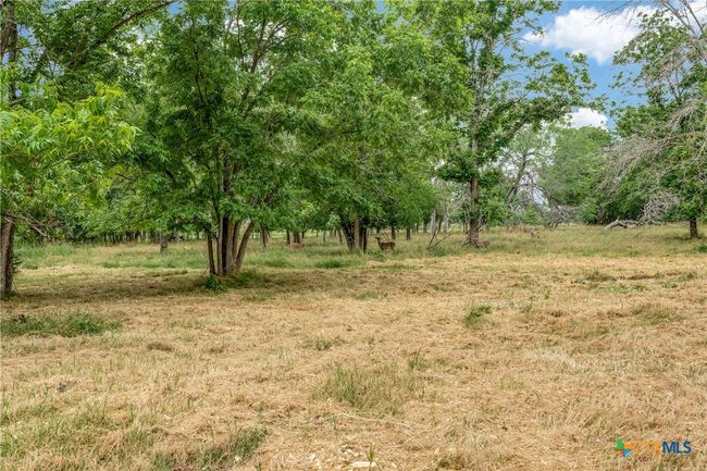 10767 Rosemar Ln, House other with 3 bedrooms, 3 bathrooms and null parking in Adkins TX | Image 26
