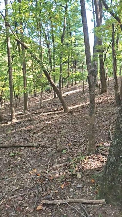 315 Windflower Dr, Big Canoe, GA, 30143 | Card Image