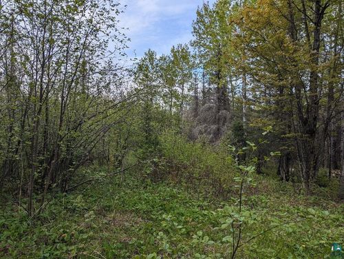 XX37 W Lismore Rd, Duluth, MN, 55803 | Card Image