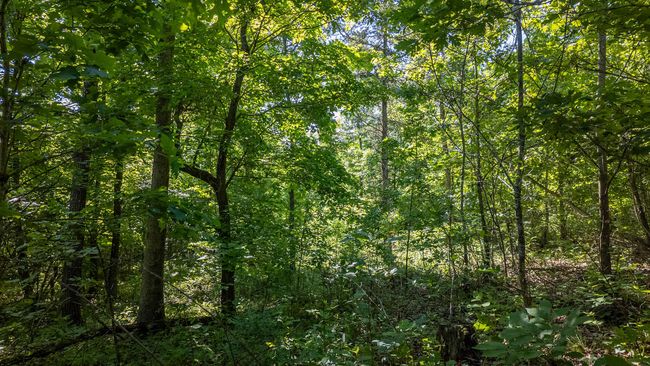 10 acre hobby farm009 | Image 12