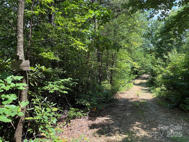 Driveway to building site | Image 7