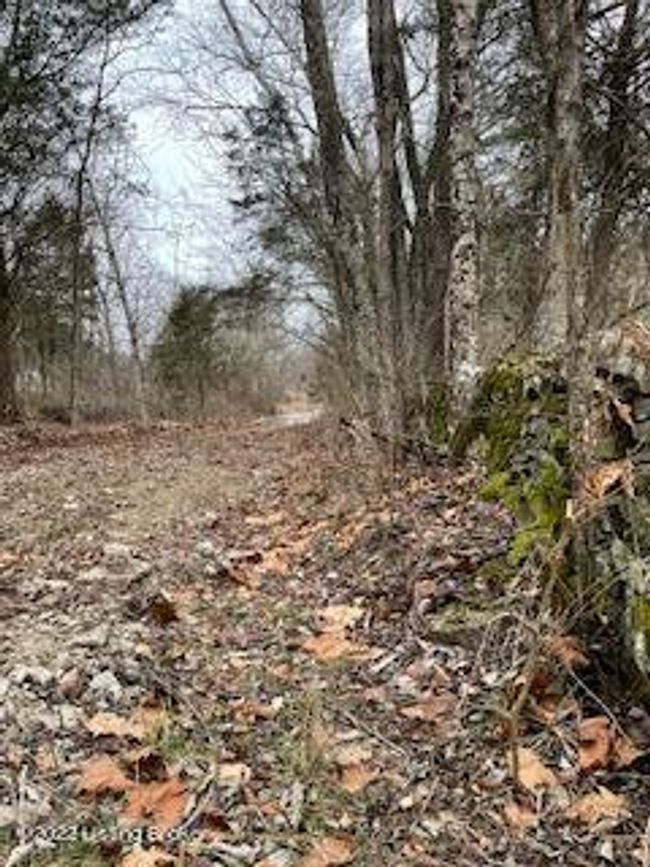 7903 Organ Creek Rd, Home with 0 bedrooms, 0 bathrooms and null parking in Pendleton KY | Image 15