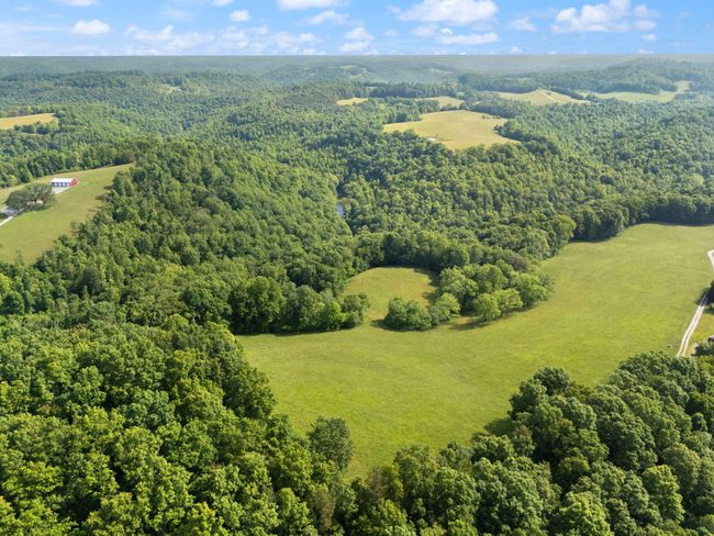 225 Hilltop Rd, Home with 3 bedrooms, 3 bathrooms and null parking in East Bernstadt KY | Image 80