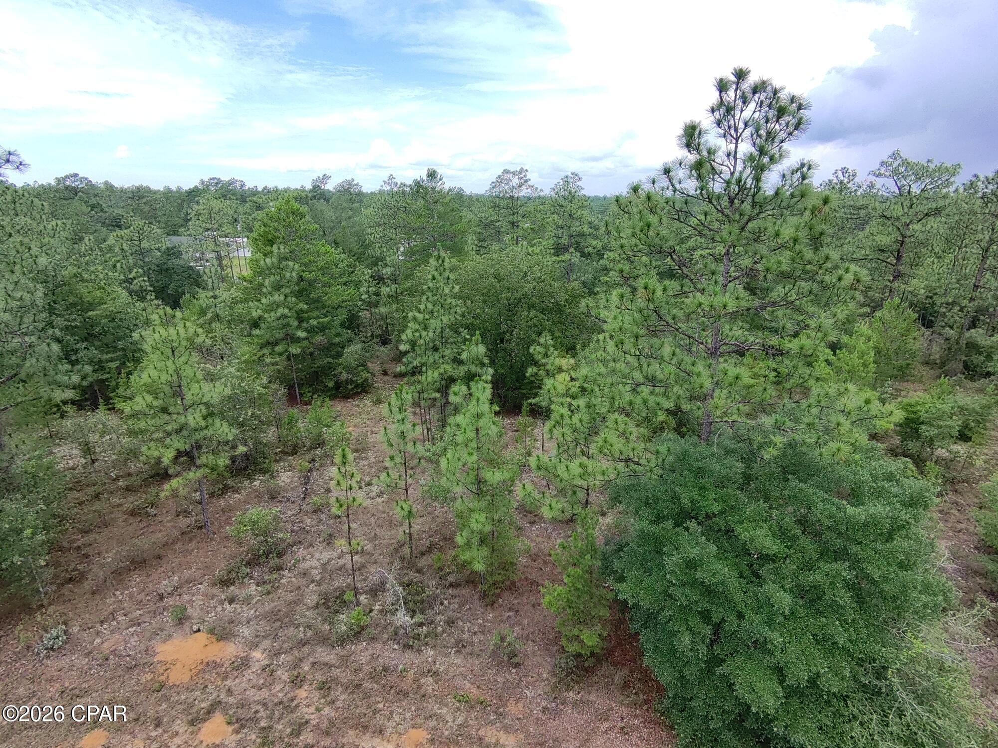 Land in Chipley
