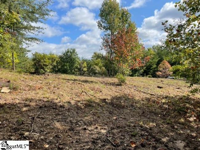 00 Birkdale Dr, House other with 3 bedrooms, 3 bathrooms and 2 parking in Mill Spring NC | Image 8