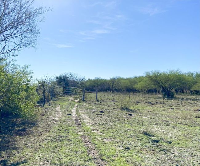 Fence line where natural brush line starts | Image 14