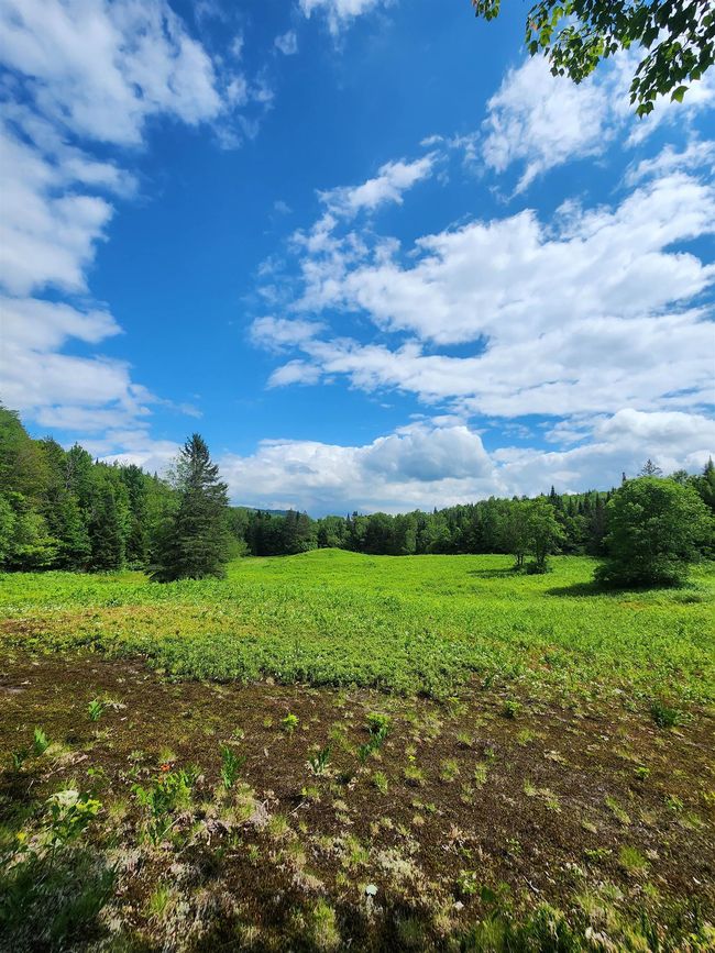 1602 E Haven Rd, House other with 3 bedrooms, 1 bathrooms and null parking in Island Pond VT | Image 55