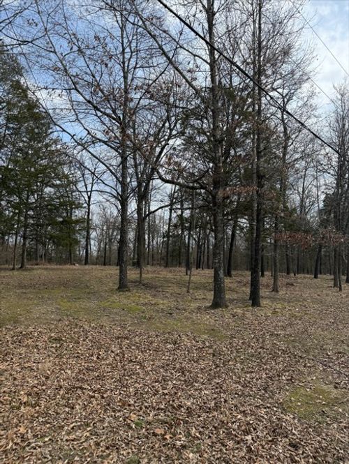42 Douglas Cv, Lead Hill, AR, 72644 | Card Image