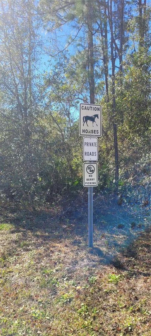 3781 Pine Pitch Ct, ORMOND BEACH, FL, 32174-8083 | Card Image