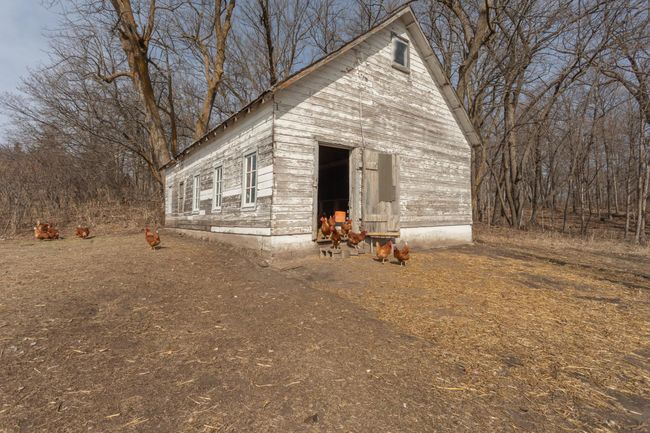 Livestock and chicken coop | Image 40