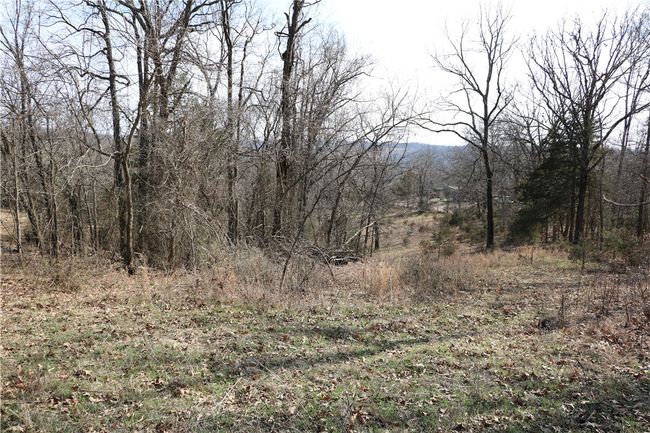 57 Sugar Creek Road, Home with 0 bedrooms, 0 bathrooms and null parking in Washburn MO | Image 25