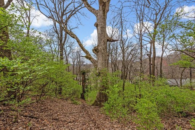0 Kenesaw Dr, Home with 0 bedrooms, 0 bathrooms and null parking in Nashville TN | Image 17