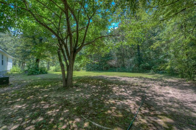 View of green lawn | Image 4