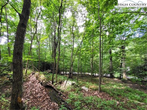 TBD Lauren Ln, West Jefferson, NC, 28694 | Card Image