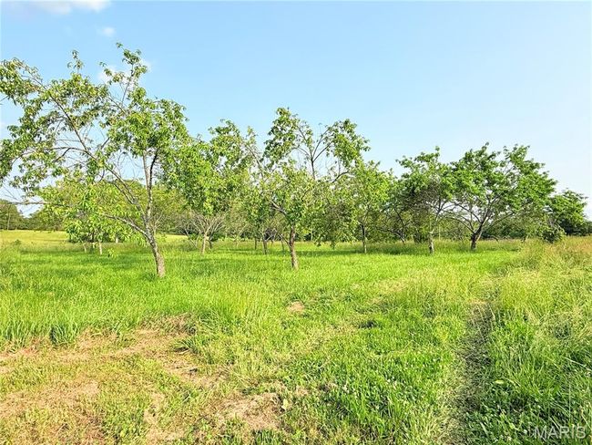 View of local wilderness with rural landscape | Image 48